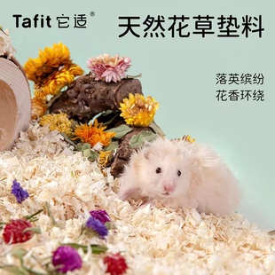 Tafit它适梦花园仓鼠花草垫料金丝熊专用笼子装饰造景干花草用品
