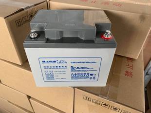 质保三年 LEOCH理士蓄电池12V40AH 铅酸蓄电池 低价促销 DJM1240S