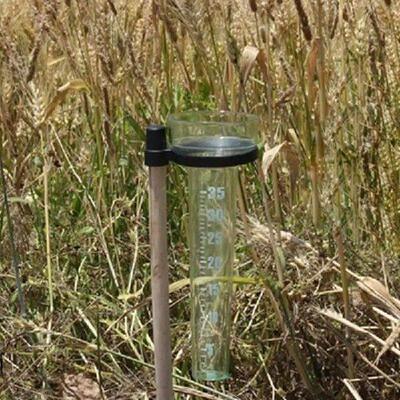 Portable Rain Gauge Measurement Tool For Garden Water