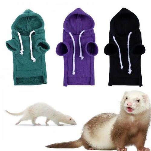 Cute Hamster Guinea Clothes Ferret Hoodie Solid Color