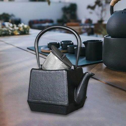 Cast Iron Teapot Tea Ceremony Accessories with Lid Chinese