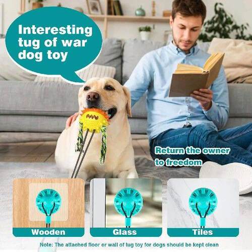 Indestructible, Mentally Stimulating Interactive Dog Toys