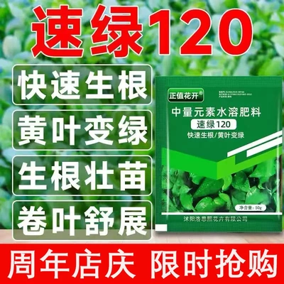 正值花开叶绿素叶面肥壮根提苗增绿通用型中量元素水溶肥速绿120