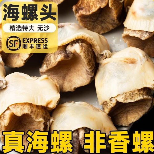 大连特大海螺头去壳去内脏非香螺