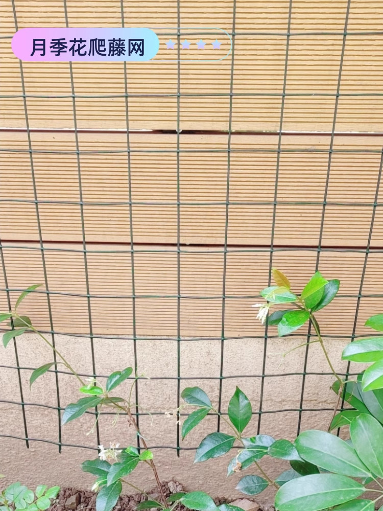 月季蔷薇爬藤网植物固定花架铁丝网攀爬网格架花墙庭院户外支撑杆