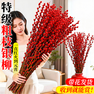 银柳真花鲜枝客厅招财摆件水养装饰枝花卉植物红柳花束鲜花年宵花