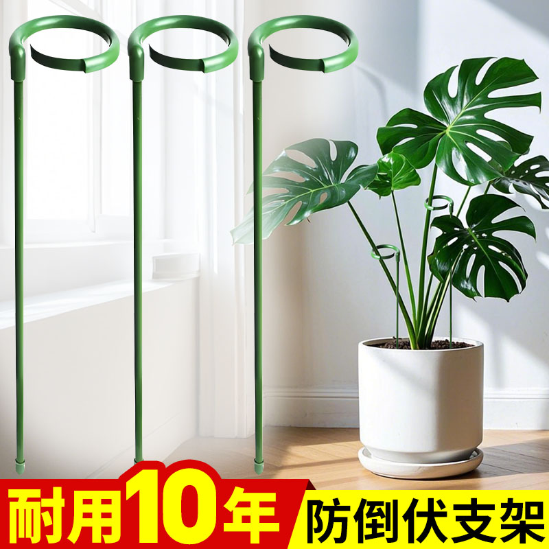 植物支撑杆龟背竹花卉支撑架固定防倒伏朱顶红百合园艺番茄爬藤架