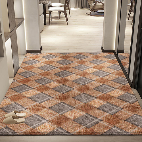 【轻奢高端】入户门地毯玄关