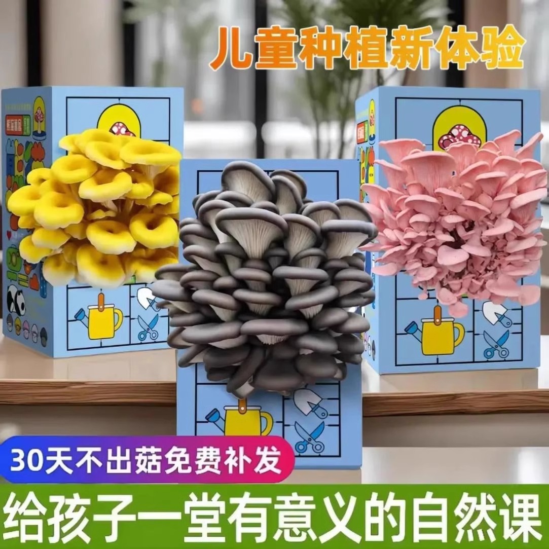 【孩子的自然课】蘑菇盒子礼盒平菇种植包食用菌娃娃绿植