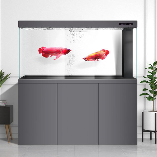 客厅鱼缸中大型龙鱼缸落地屏风隔断玄关2025新款高端水族箱免换水