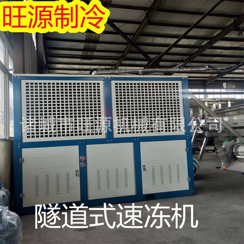 全自动速冻面食设备 隧道速冻机 隧道海鲜速冻机 旺源速冻机
