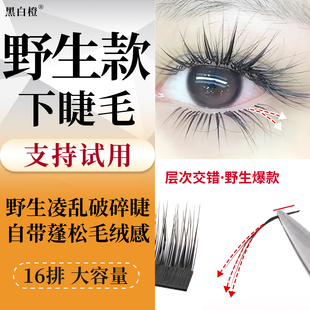 黑白橙5D多层次山茶花下睫毛嫁接LB野生破碎凌乱3D立体蓬松美睫店