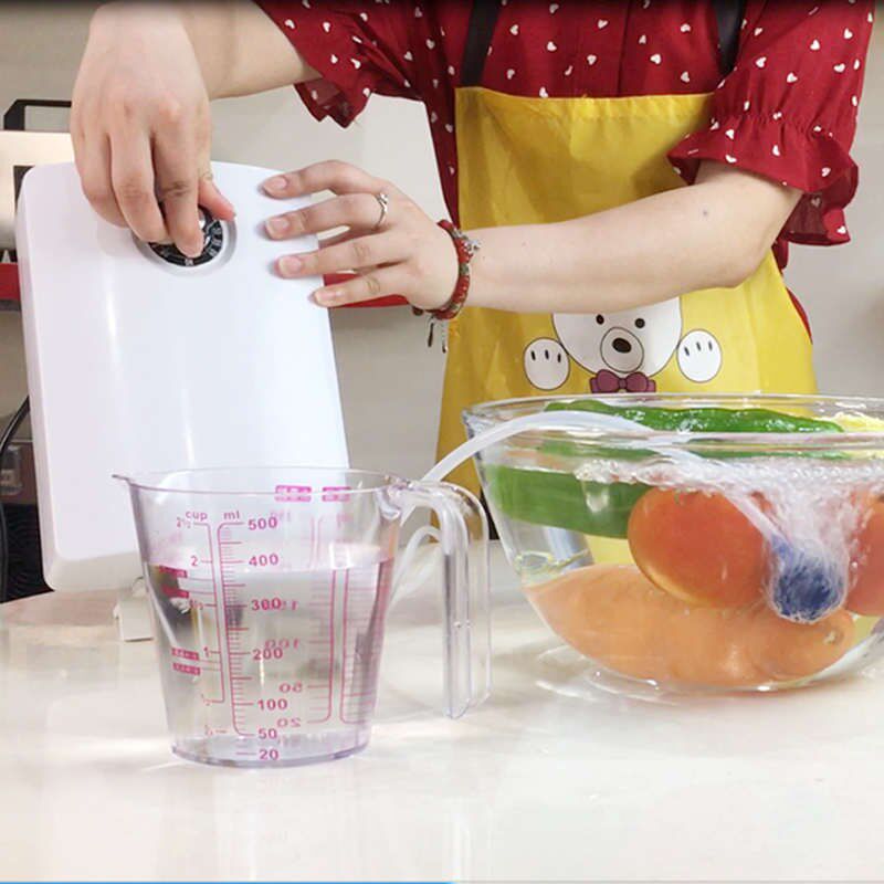 果蔬清洗机洗菜肉l类水果蔬菜消毒解毒食材净化机杀菌臭氧发生器