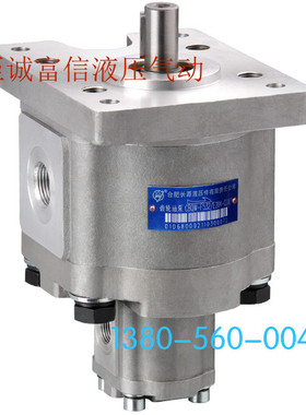 合肥长源液压双i联齿轮泵CBQWQ-F520/F306-CLPL