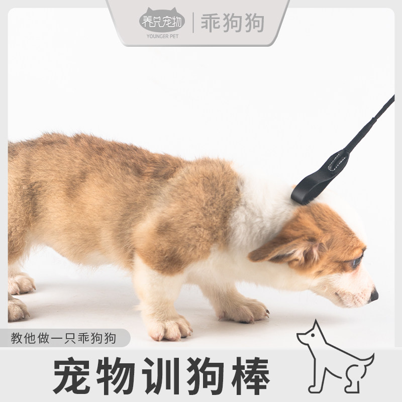 打狗棒狗狗训练神器软击训犬鞭训狗装备马犬训狗器宠物训犬用品,宠物/宠物食品及用品,训练器,淘宝优惠券,粉丝福利购,淘宝优惠卷