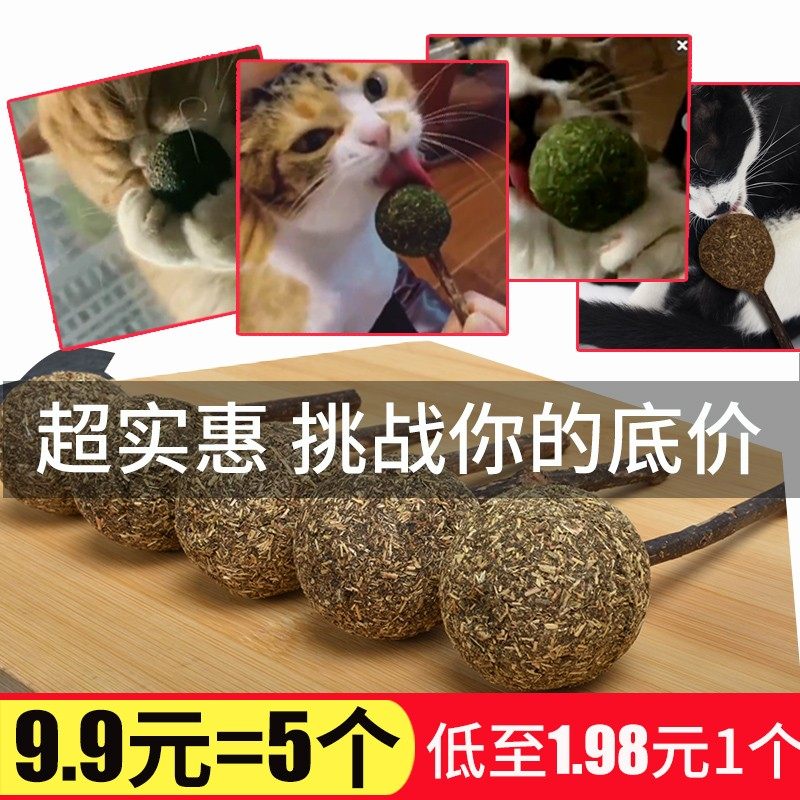 猫薄荷棒棒糖逗猫棒木天蓼球猫玩具猫磨牙棒小猫猫咪用品猫零食糖,宠物/宠物食品及用品,猫薄荷/木天蓼,淘宝优惠券,粉丝福利购,淘宝优惠卷