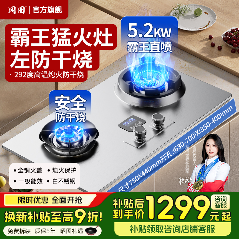 冈田（日本）霸王防干烧燃气灶