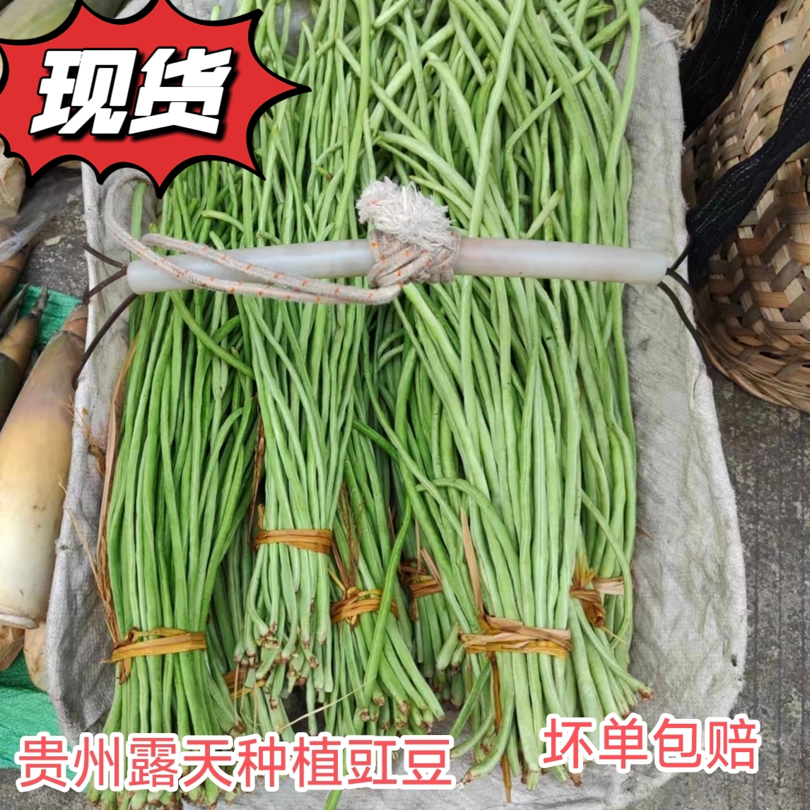 贵州农家种植新鲜豇豆