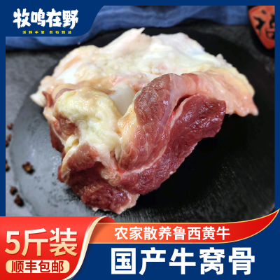 国产带肉牛窝骨牛膝盖骨新鲜牛大骨网红吃播黄牛窝骨5斤装包邮
