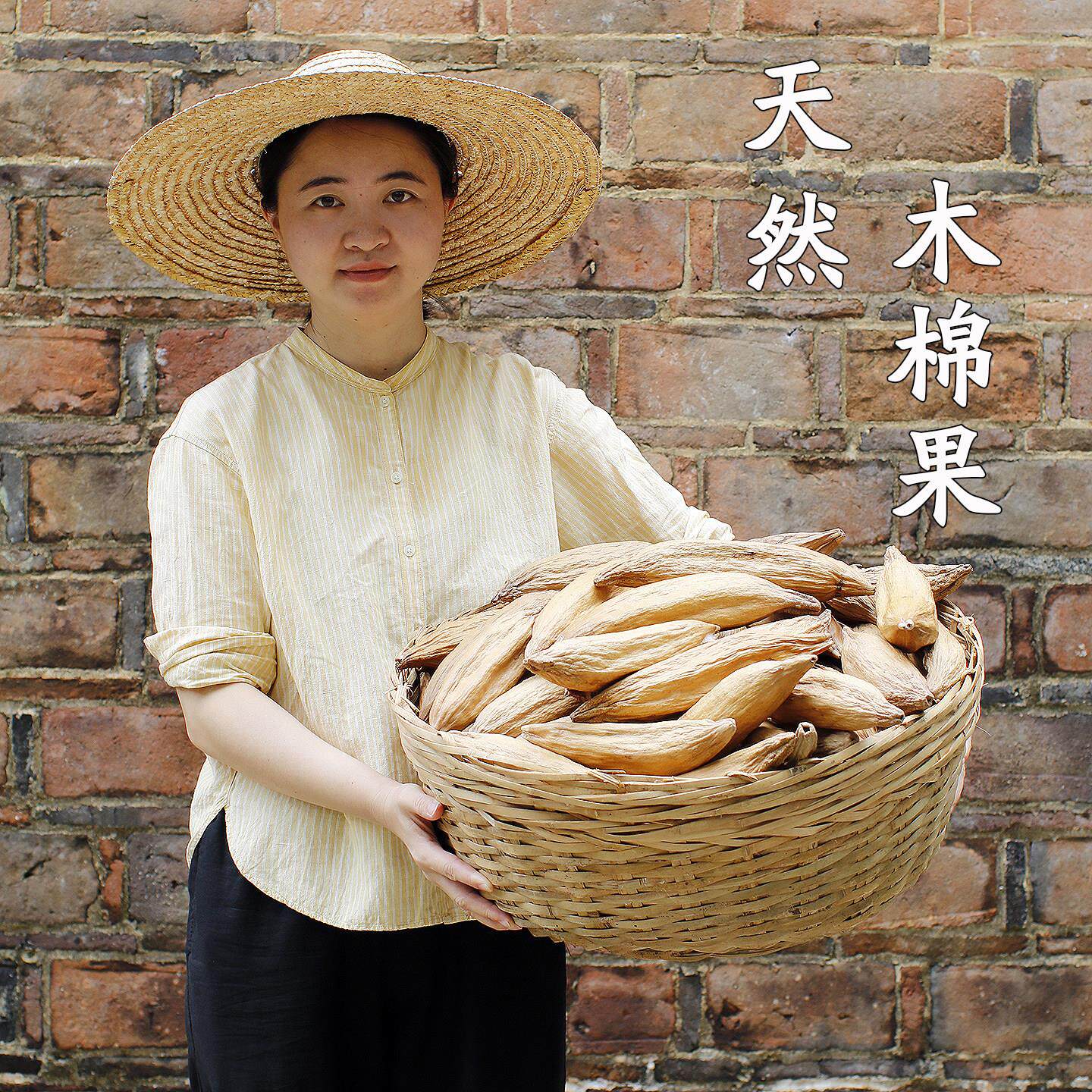 天然木棉果实海南天然带籽木棉枕头枕芯散装填充物仓鼠保暖木棉