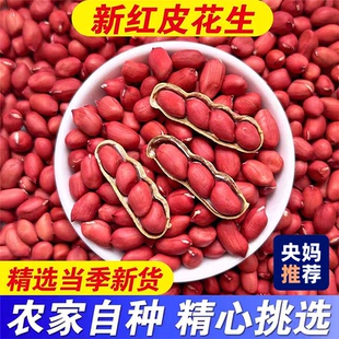 东北红皮花生米官方旗舰店2026新货不带壳孕妇补气养血红衣花生仁