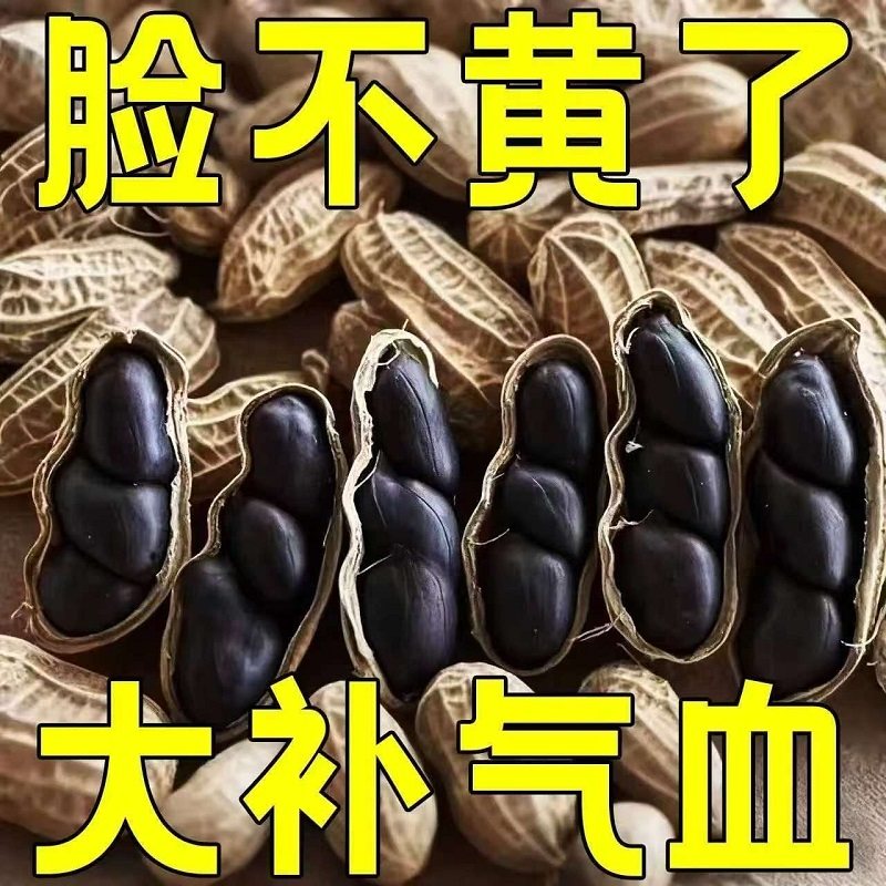 富硒黑花生官方旗舰店2025年新货生紫皮花生带壳晒干下酒零食小吃,零食/坚果/特产,花生,淘宝优惠券,粉丝福利购,淘宝优惠卷