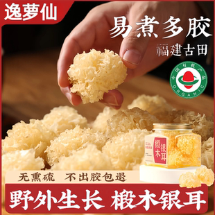 椴木小银耳干货特级野生无硫古田即食草本软糯雪耳出胶官方旗舰店