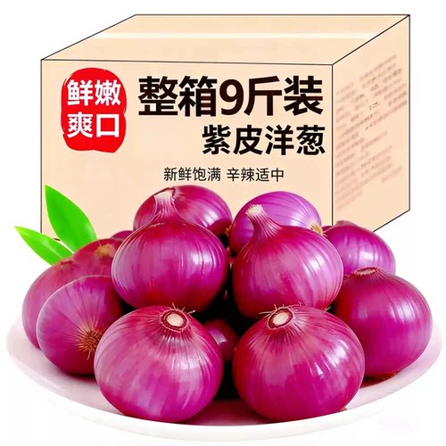 小洋葱云南紫皮小洋葱圆葱红皮特产农家蔬菜自然鲜甜美味营养丰富