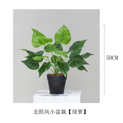 北欧风仿真植物家居芭蕉叶假绿植庭院摆件龟背竹盆栽室内景观盆景