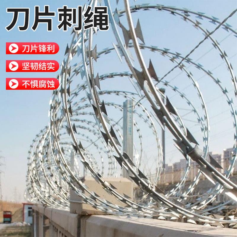 四川刀片刺绳防护网不锈钢刺丝滚笼网刺铁丝防盗防爬刺围墙防爬网