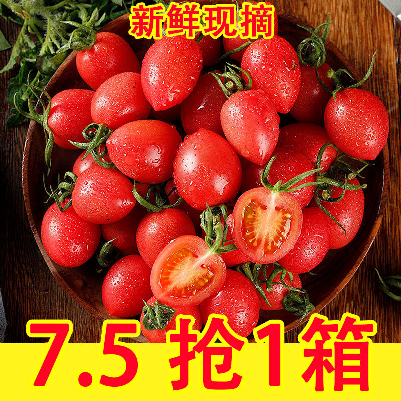 新鲜樱桃小番茄千禧果5斤小西红柿圣女果千禧小番茄新鲜水果