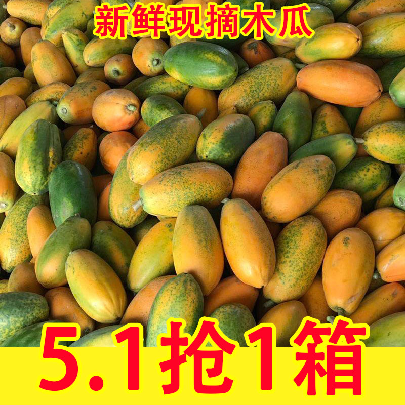 广西红心牛奶木瓜新鲜9斤5应当季孕妇水果番青皮下奶树上熟冰糖心