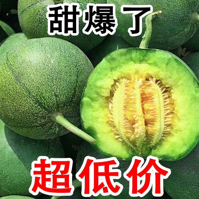 山东绿宝甜瓜5斤当季现摘新鲜水果脆瓜甜瓜小香瓜蜜瓜绿宝石整箱