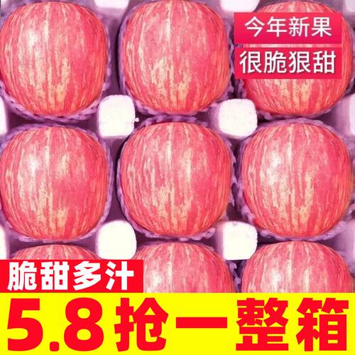 正宗山东红富士苹果10斤新鲜水果脆甜当季水果丑苹果整箱脆甜