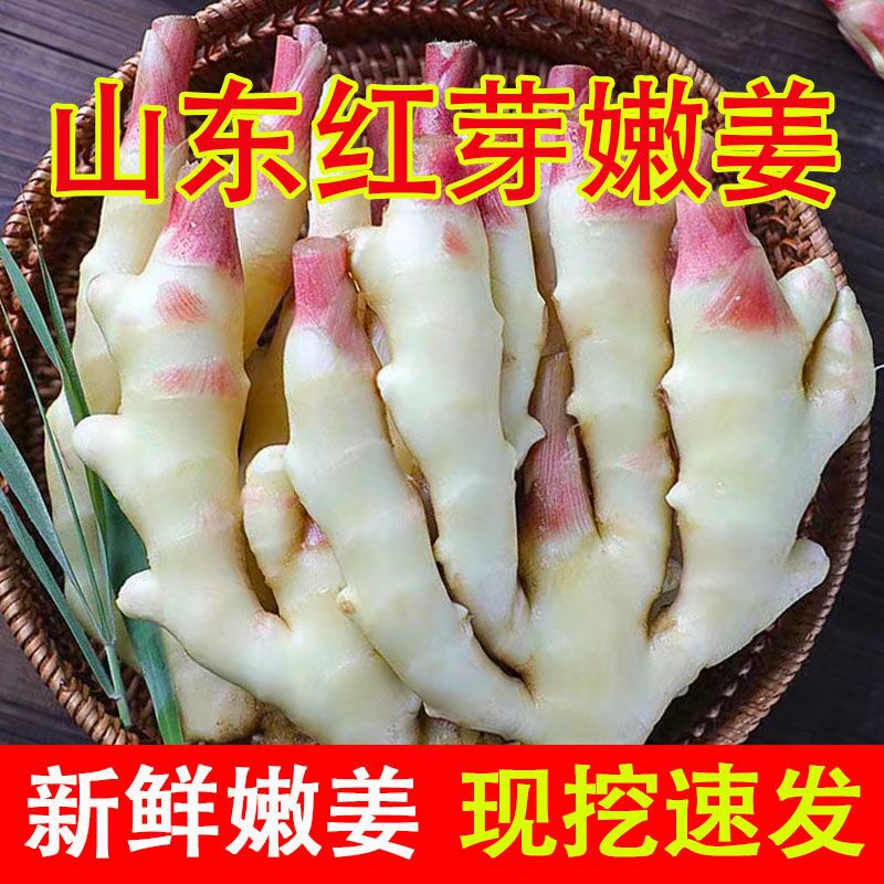 嫩姜新鲜红芽仔姜子姜指头5斤生姜现挖非云南小黄糖醋老姜