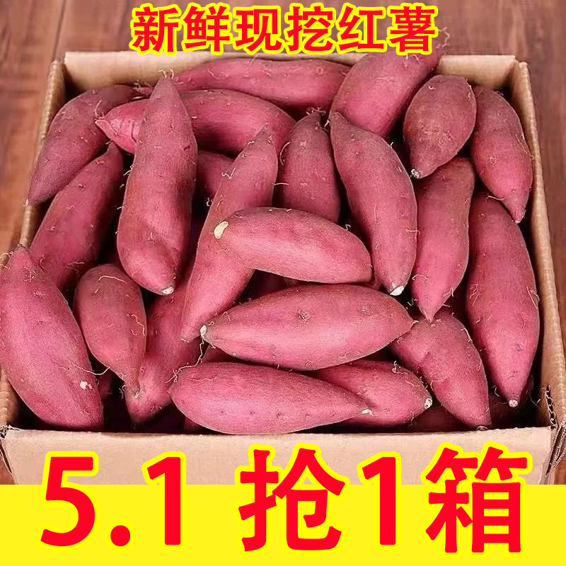 新鲜蜜薯9斤板栗红薯沙地糖心地瓜农家自种番薯现挖烟薯香薯山芋