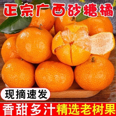 广西金秋砂糖橘5斤砂糖桔橘子现摘现发新鲜冰糖应季水果蜜橘柑橘