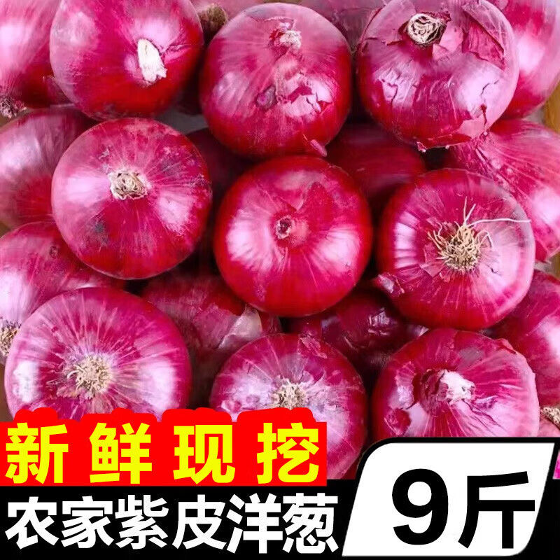 云南农家现挖水果洋葱9斤装甜味生吃5紫皮圆葱头蔬菜新鲜农家