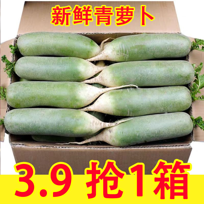 新鲜水果萝卜正宗青萝卜甜脆水果非潍坊沙窝萝卜9斤新鲜蔬菜,水产肉类/新鲜蔬果/熟食,萝卜/胡萝卜,淘宝优惠券,粉丝福利购,淘宝优惠卷