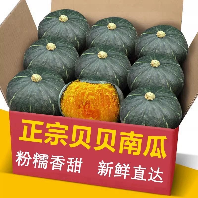 贝贝南瓜正宗板栗味小南瓜5斤粉糯香甜代餐宝宝辅食粉糯