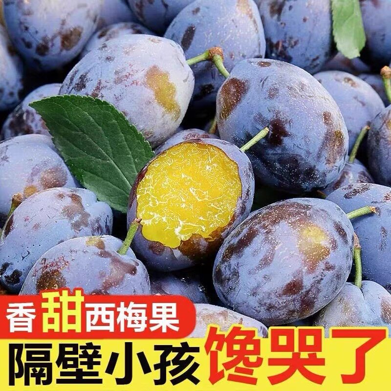 2026正宗现摘现发新鲜西梅甜当季整箱5斤李子孕妇水果