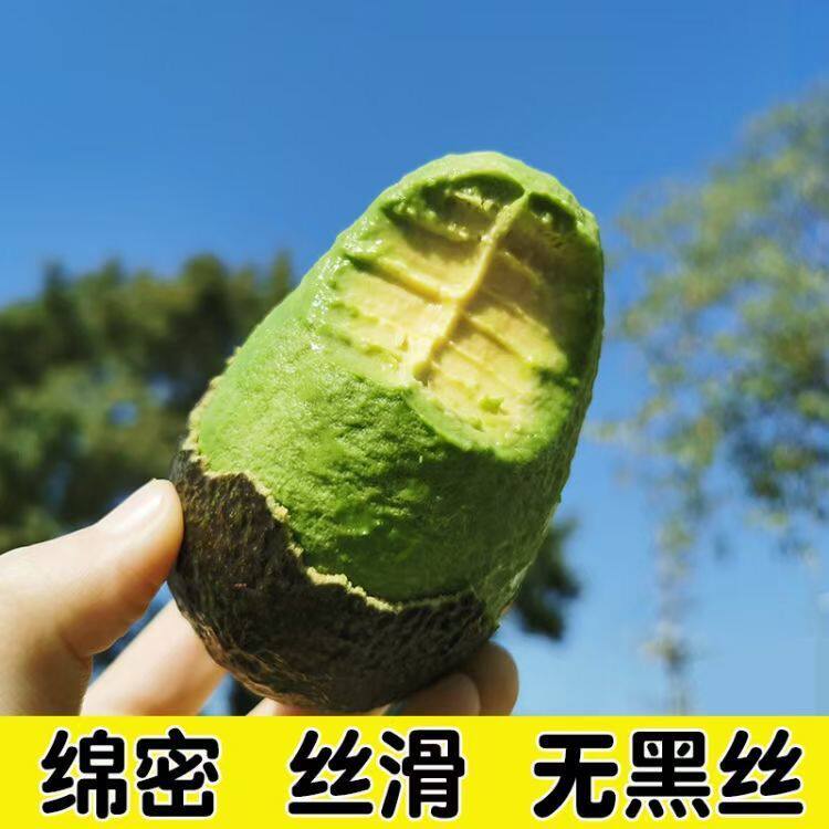 云南孟连牛油果新鲜10个小果哈斯牛油果宝宝孕妇辅食水果当季