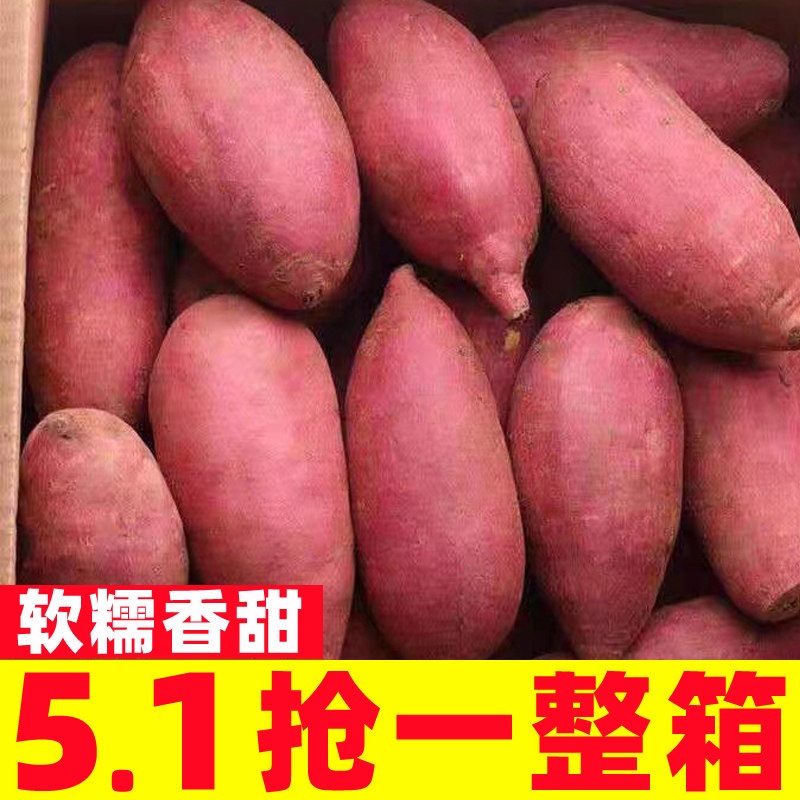 板栗红薯蜜薯9斤超甜新鲜地瓜沙地番薯粉糯包邮香薯自种山芋,水产肉类/新鲜蔬果/熟食,番薯,淘宝优惠券,粉丝福利购,淘宝优惠卷