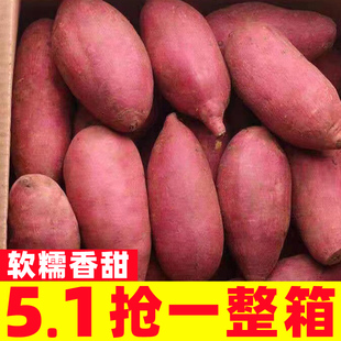 板栗红薯蜜薯9斤超甜新鲜地瓜沙地番薯粉糯包邮香薯自种山芋