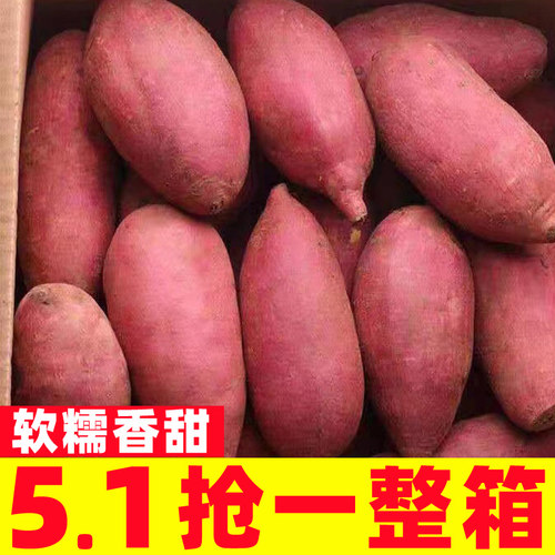 板栗红薯蜜薯9斤超甜新鲜地瓜沙地番薯粉糯包邮香薯自种山芋