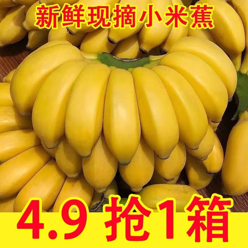 正宗广西小米蕉香蕉9斤新鲜水果整箱当季鲜苹果蕉自然熟粉蕉包邮,水产肉类/新鲜蔬果/熟食,香蕉,淘宝优惠券,粉丝福利购,淘宝优惠卷