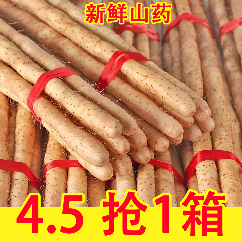 新鲜山药5斤装 正宗铁棍山药河南焦作垆土怀山药铁杆淮山药包邮
