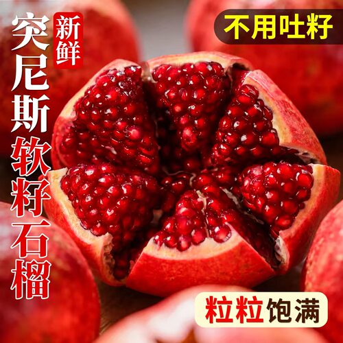 四川突尼斯软籽石榴新鲜水果包邮当季现摘会理软籽甜石榴特大果
