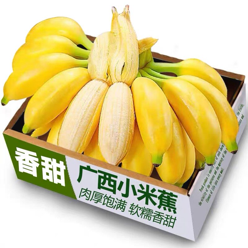 现摘广西小米蕉当季新鲜水果芭蕉苹果蕉自然熟香蕉整箱包邮