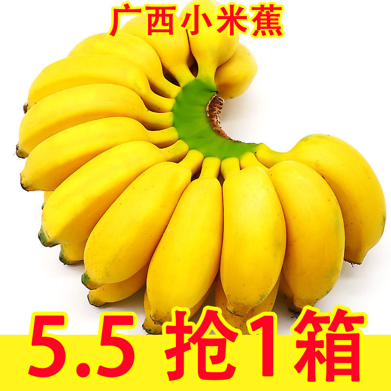 广西香蕉新鲜小米蕉9斤水果包邮小香芭蕉苹果蕉自然熟当季整箱